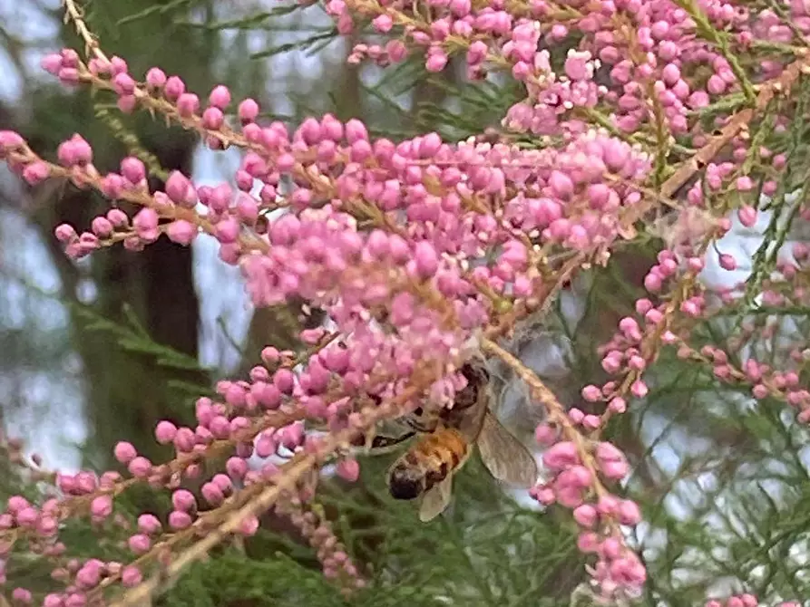 Immagine 37 di Appartamento in vendita  in Via lame 372 a Castel Maggiore