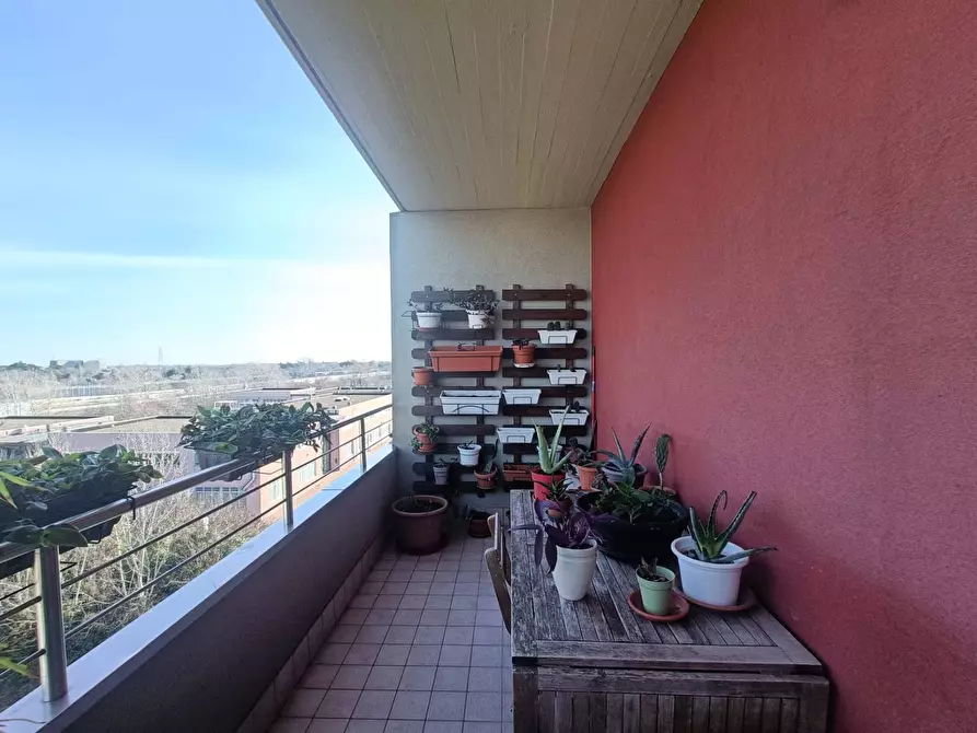 Immagine 6 di Attico in vendita  a Bologna