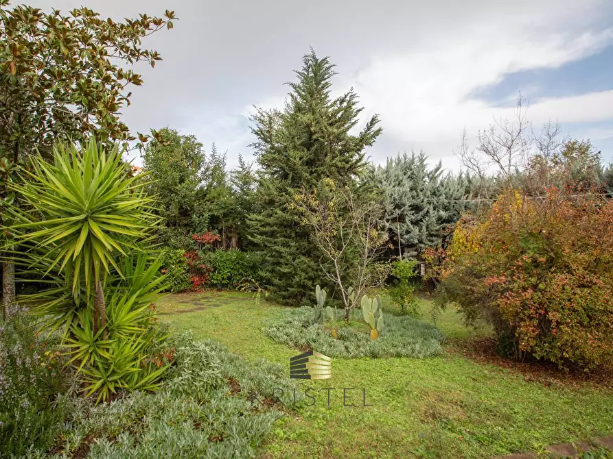 Immagine 37 di Appartamento in vendita  in VIA ABETONE 2 a Montesilvano