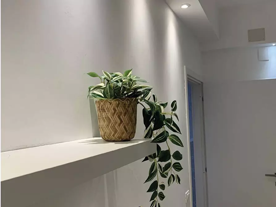 Immagine 34 di Appartamento in affitto  in VIA DEI SABINI 6 a Pescara