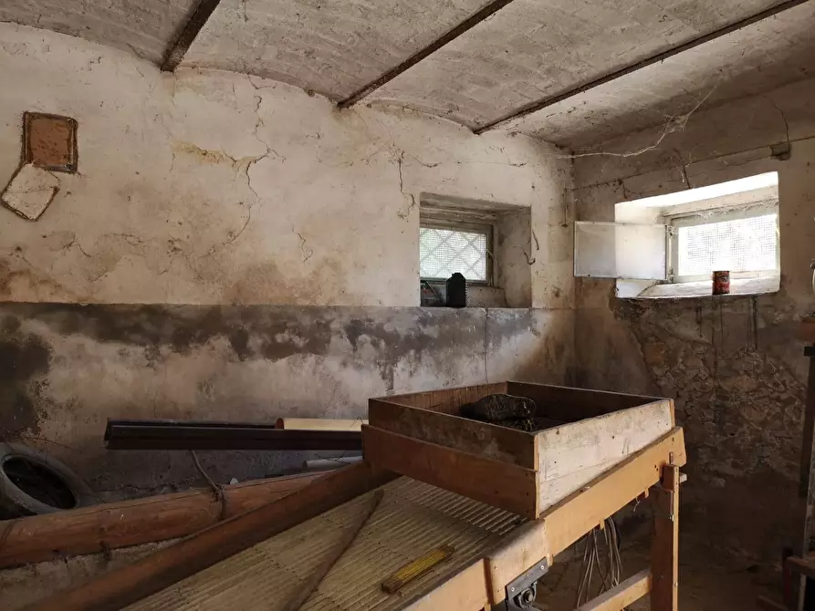 Immagine 5 di Villa in vendita  in contrada Ravigliano snc a Corropoli