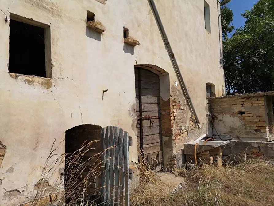 Immagine 6 di Villa in vendita  in contrada Ravigliano snc a Corropoli