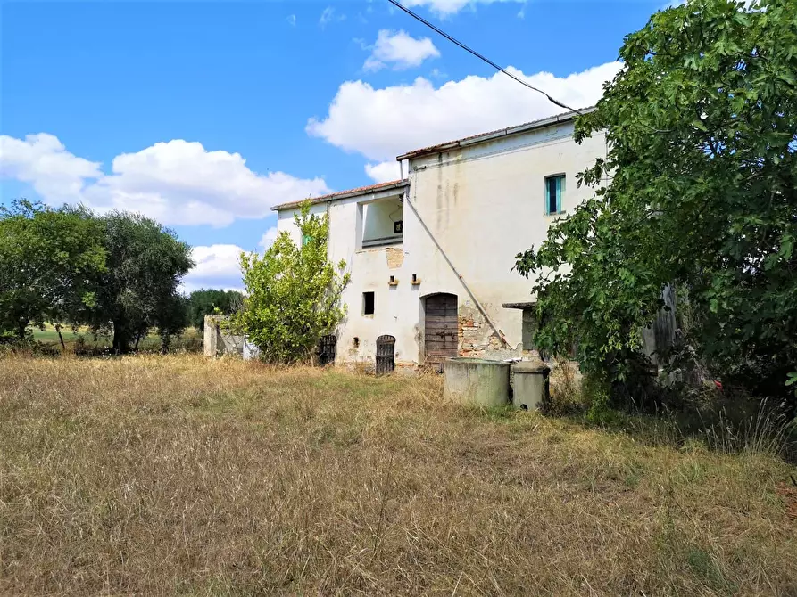 Immagine 9 di Villa in vendita  in contrada Ravigliano snc a Corropoli