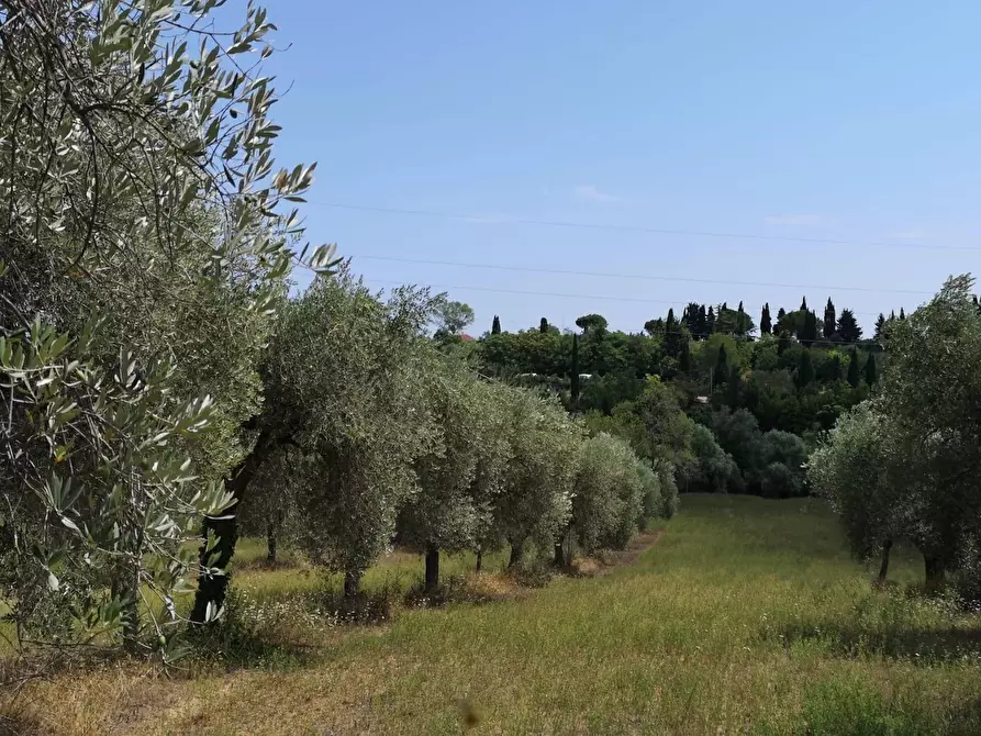Immagine 8 di Villa in vendita  in contrada Ravigliano snc a Corropoli