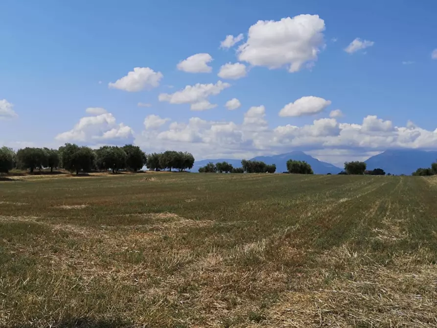 Immagine 2 di Villa in vendita  in contrada Ravigliano snc a Corropoli