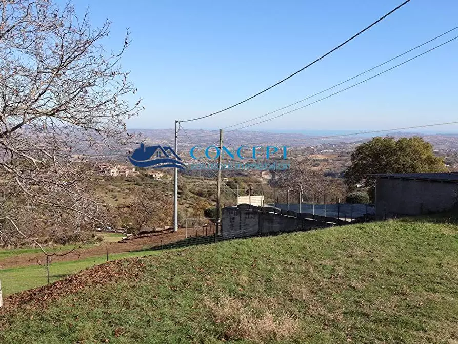 Immagine 4 di Terreno residenziale in vendita  in contrada Cerqueto snc a Ancarano