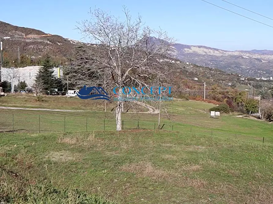 Immagine 5 di Terreno residenziale in vendita  in contrada Cerqueto snc a Ancarano