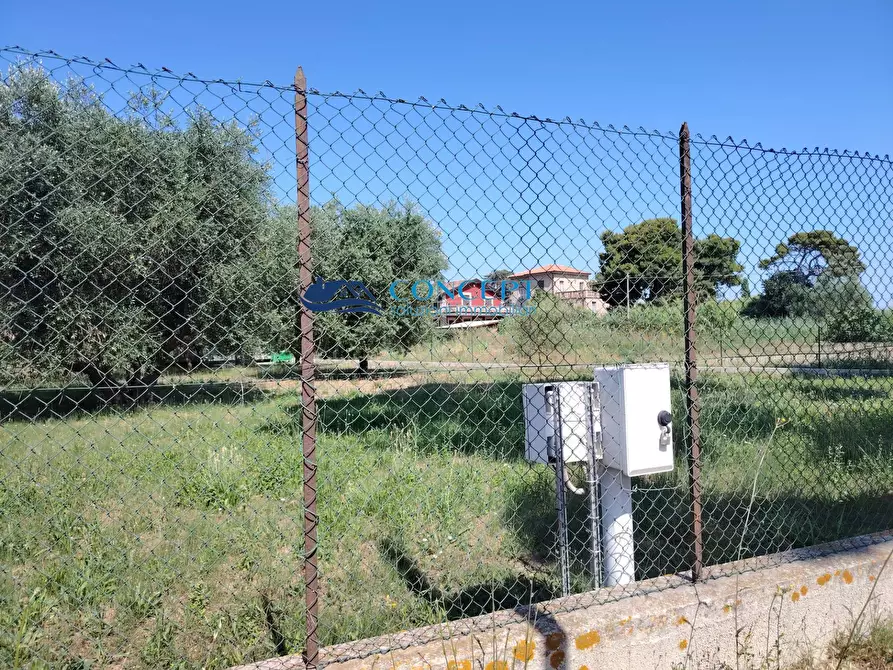 Immagine 2 di Terreno agricolo in vendita  in via delle messi snc a Martinsicuro