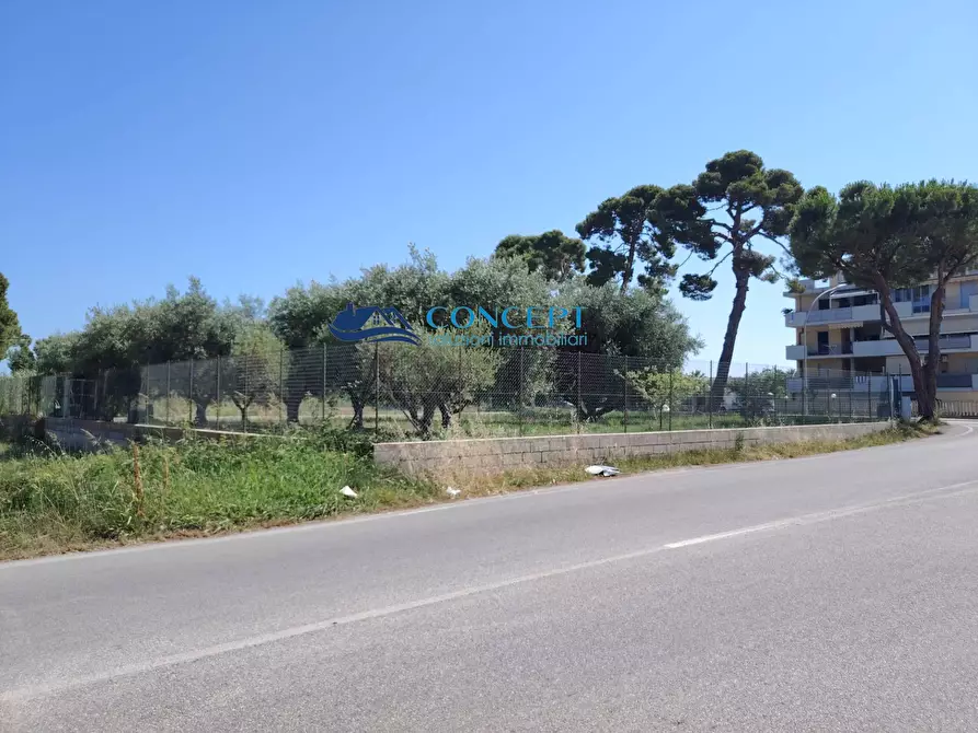 Immagine 4 di Terreno agricolo in vendita  in via delle messi snc a Martinsicuro