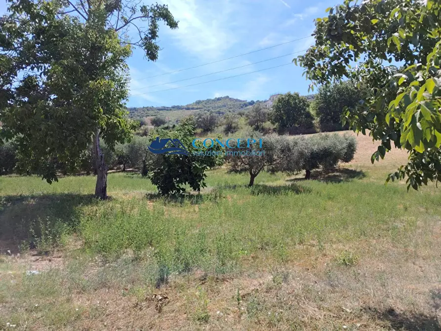 Immagine 2 di Terreno residenziale in vendita  in via Vallecupa a Ancarano