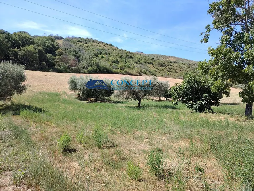 Immagine 3 di Terreno residenziale in vendita  in via Vallecupa a Ancarano