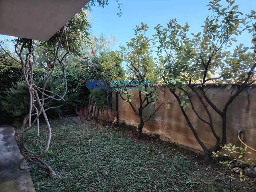 Immagine 11 di Appartamento in vendita  in via Capri snc a Martinsicuro