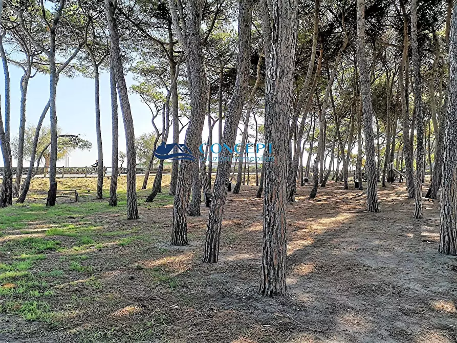 Immagine 7 di Appartamento in vendita  a Alba Adriatica