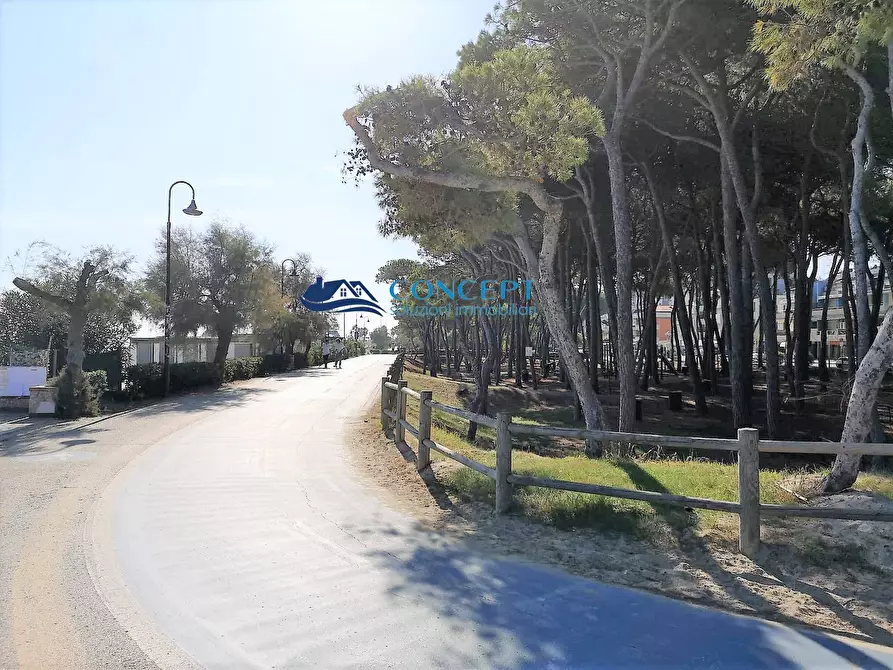 Immagine 9 di Appartamento in vendita  a Alba Adriatica