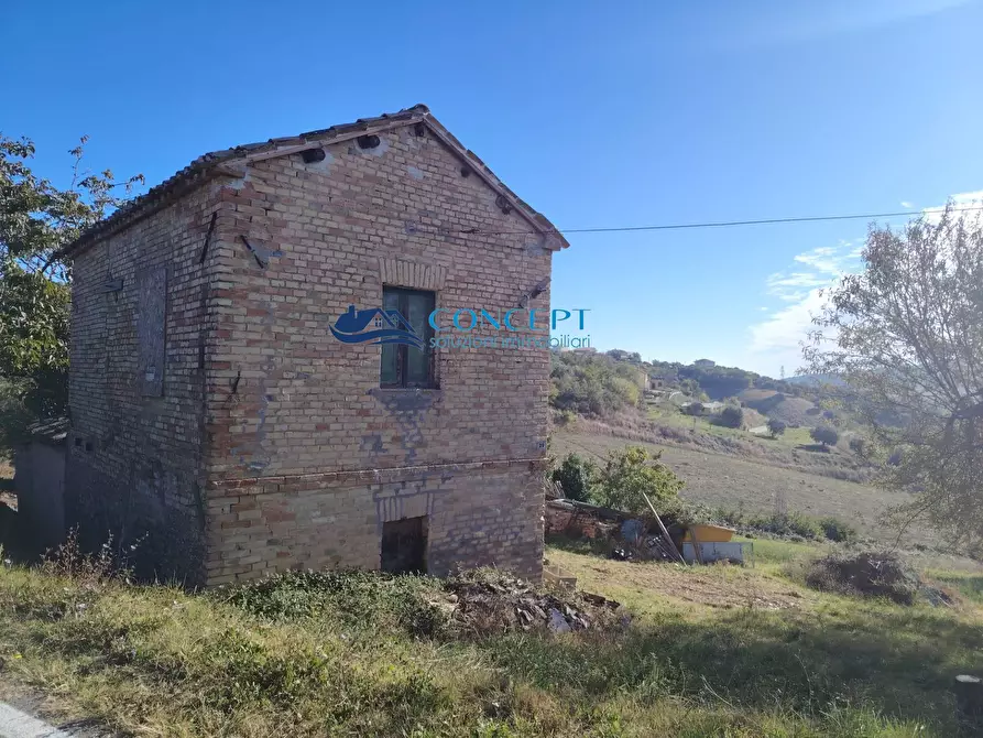 Immagine 2 di Agriturismo in vendita  in via dei morelli snc a Sant'omero