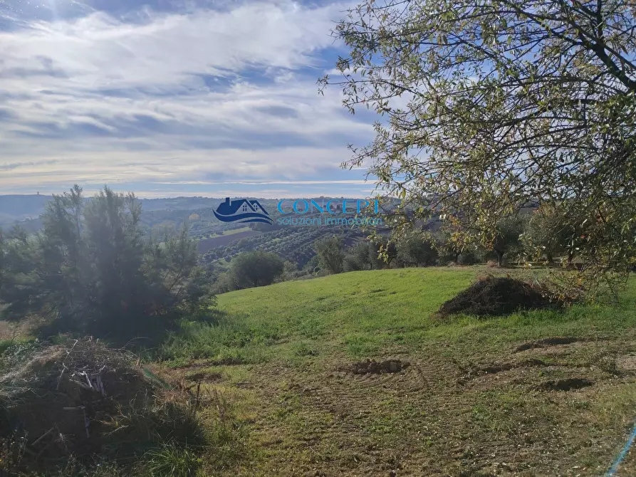 Immagine 3 di Agriturismo in vendita  in via dei morelli snc a Sant'omero