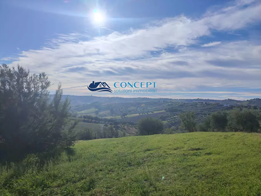 Immagine 4 di Agriturismo in vendita  in via dei morelli snc a Sant'omero