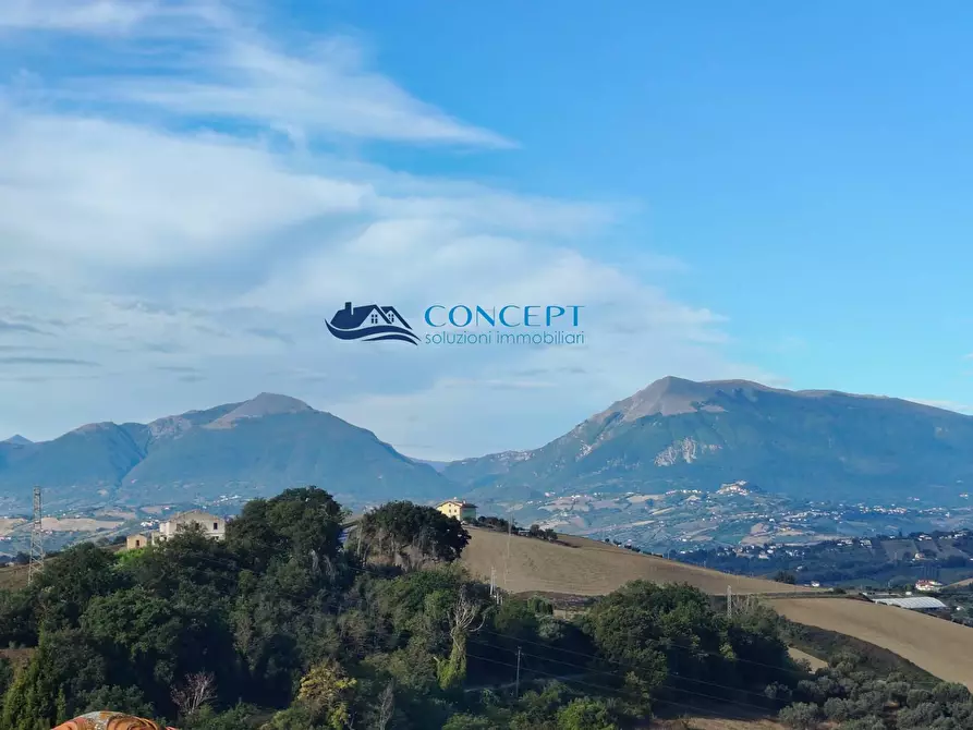 Immagine 5 di Agriturismo in vendita  in via dei morelli snc a Sant'omero