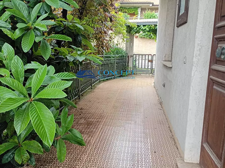 Immagine 3 di Casa indipendente in vendita  in via San Rocco snc a Controguerra