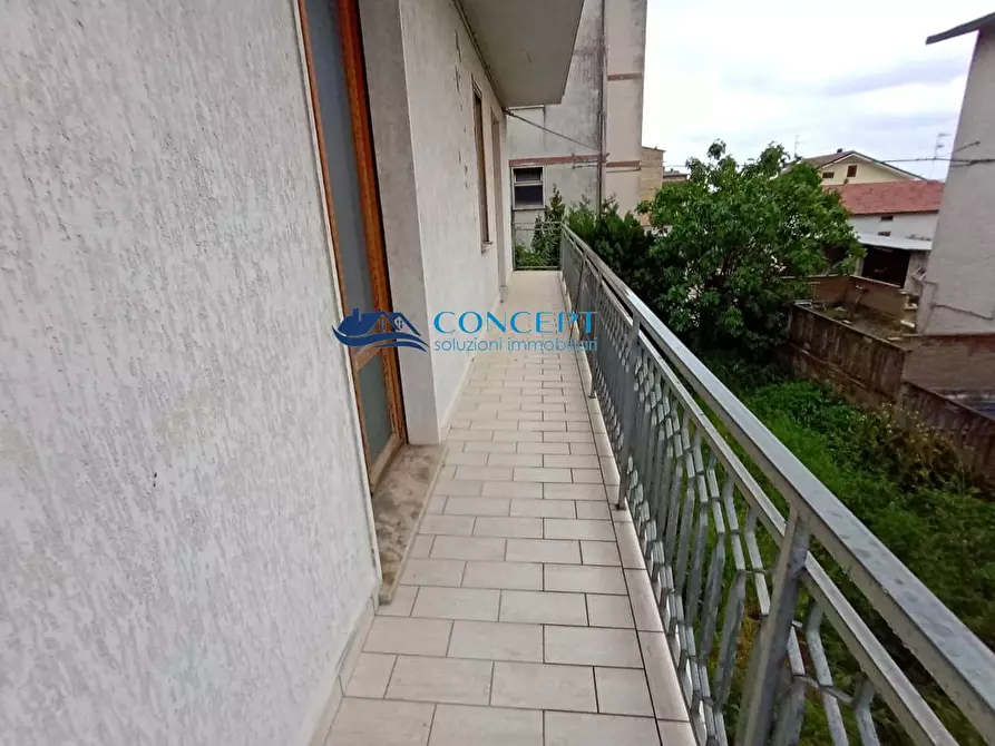 Immagine 24 di Casa indipendente in vendita  in via San Rocco snc a Controguerra