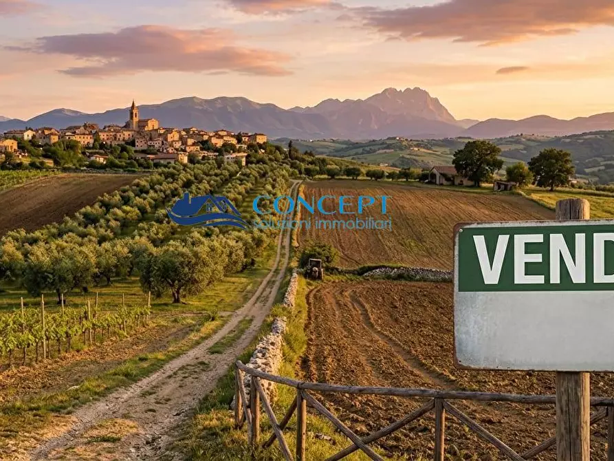 Immagine 1 di Terreno agricolo in vendita  in via Parignano Alto snc a Nereto