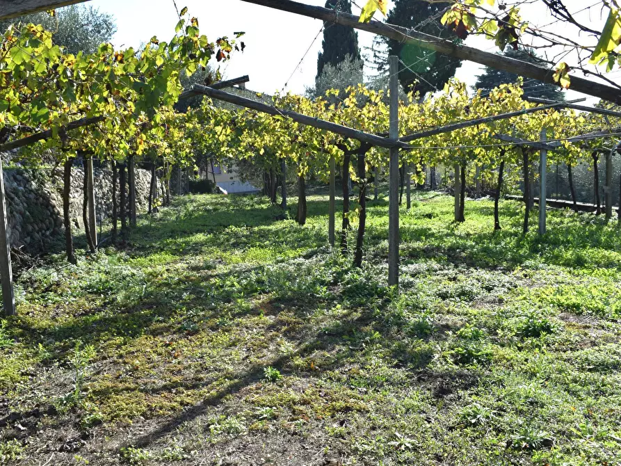 Immagine 5 di Terreno residenziale in vendita  a Sant'ambrogio Di Valpolicella