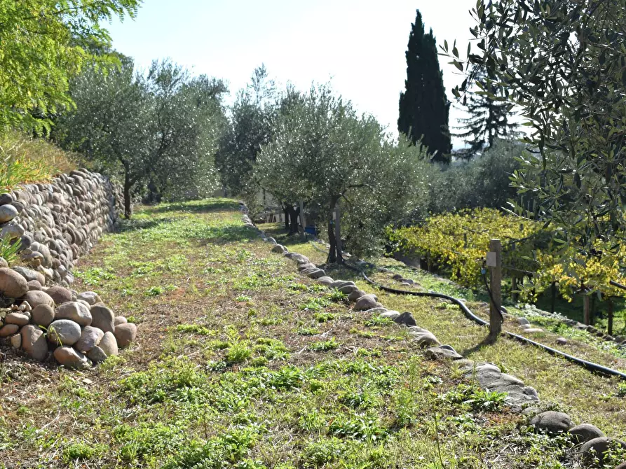 Immagine 7 di Terreno residenziale in vendita  a Sant'ambrogio Di Valpolicella