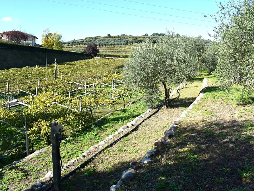 Immagine 8 di Terreno residenziale in vendita  a Sant'ambrogio Di Valpolicella