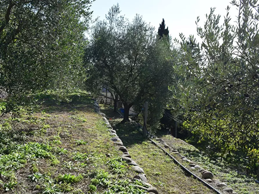 Immagine 11 di Terreno residenziale in vendita  a Sant'ambrogio Di Valpolicella