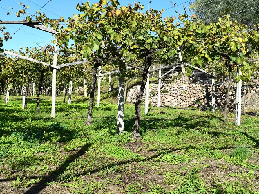 Immagine 12 di Terreno residenziale in vendita  a Sant'ambrogio Di Valpolicella