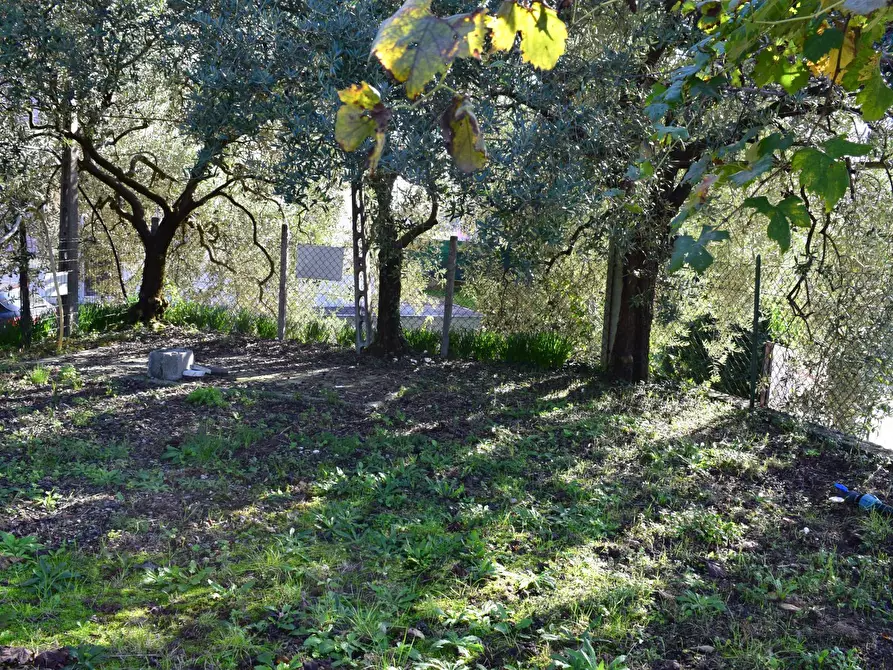 Immagine 13 di Terreno residenziale in vendita  a Sant'ambrogio Di Valpolicella
