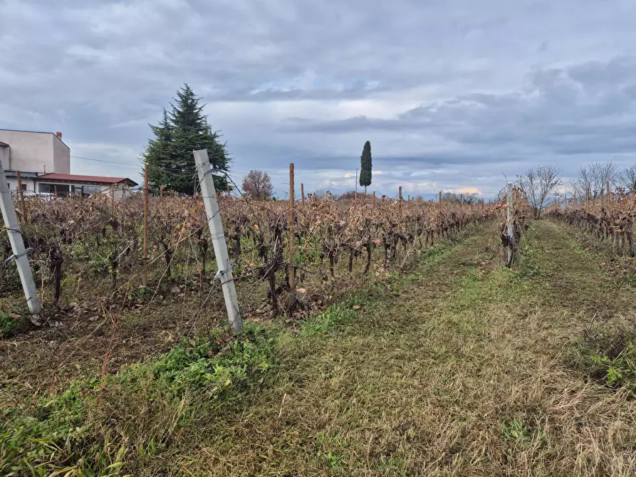 Immagine 8 di Terreno agricolo in vendita  in località Grisa a Lazise