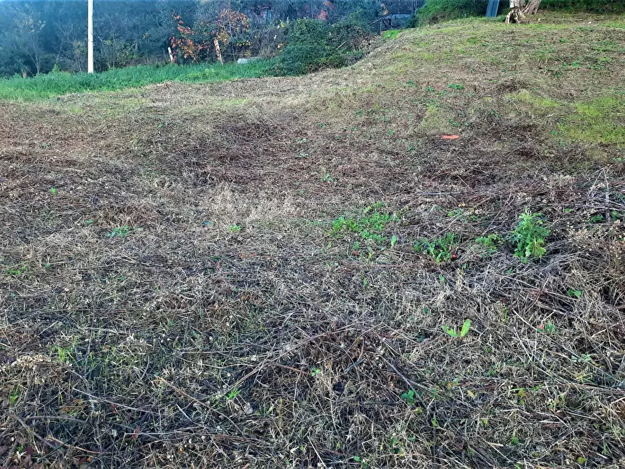 Immagine 2 di Terreno residenziale in vendita  in via roma a Lajatico
