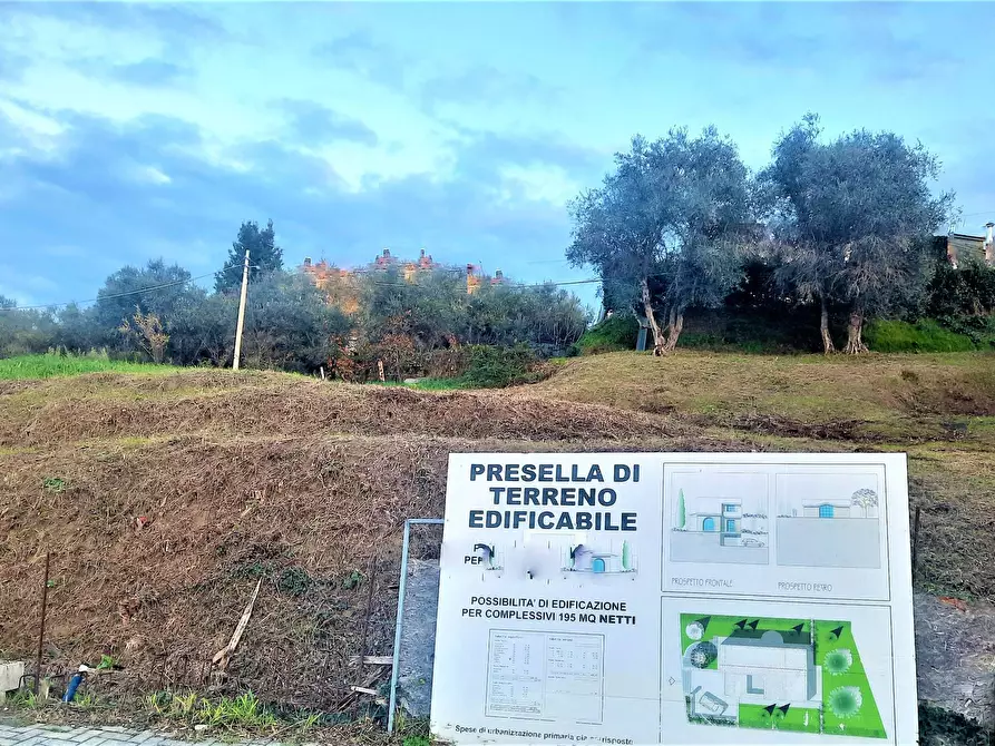 Immagine 3 di Terreno residenziale in vendita  in via roma a Lajatico