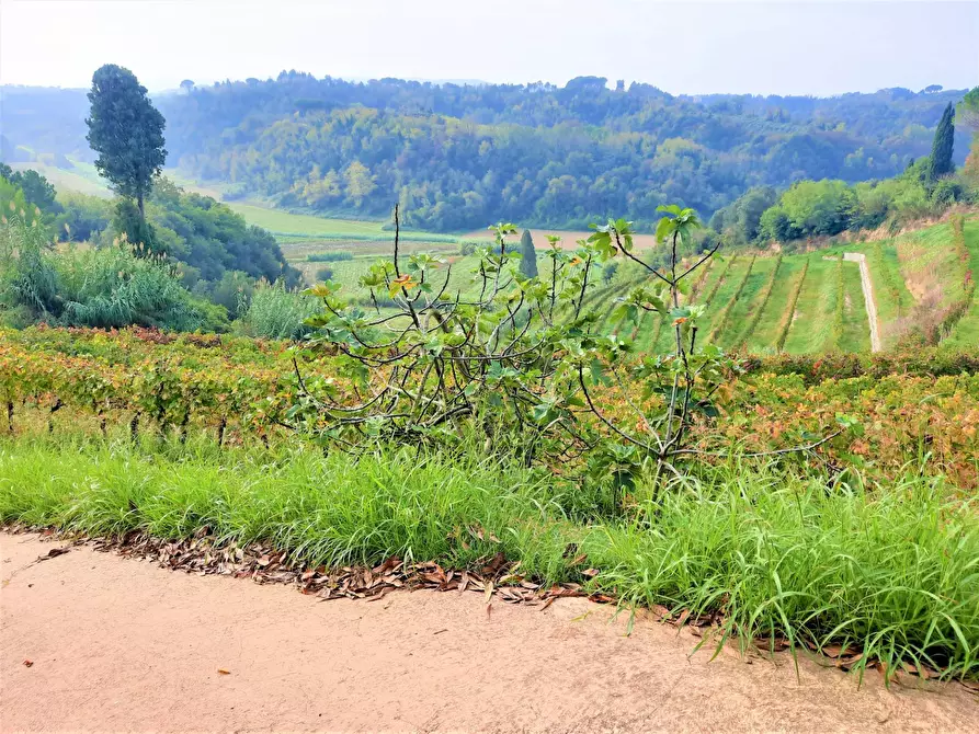 Immagine 3 di Appartamento in vendita  in VIA LA MAREMMA a Casciana Terme Lari