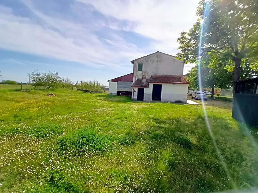 Immagine 31 di Rustico / casale in vendita  in via maremmana a Casciana Terme Lari