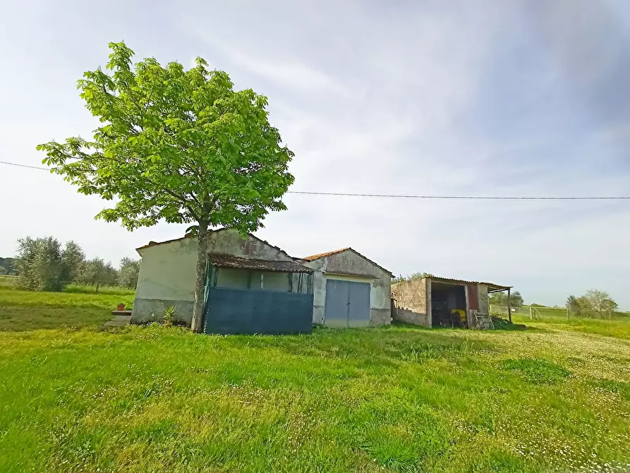 Immagine 32 di Rustico / casale in vendita  in via maremmana a Casciana Terme Lari