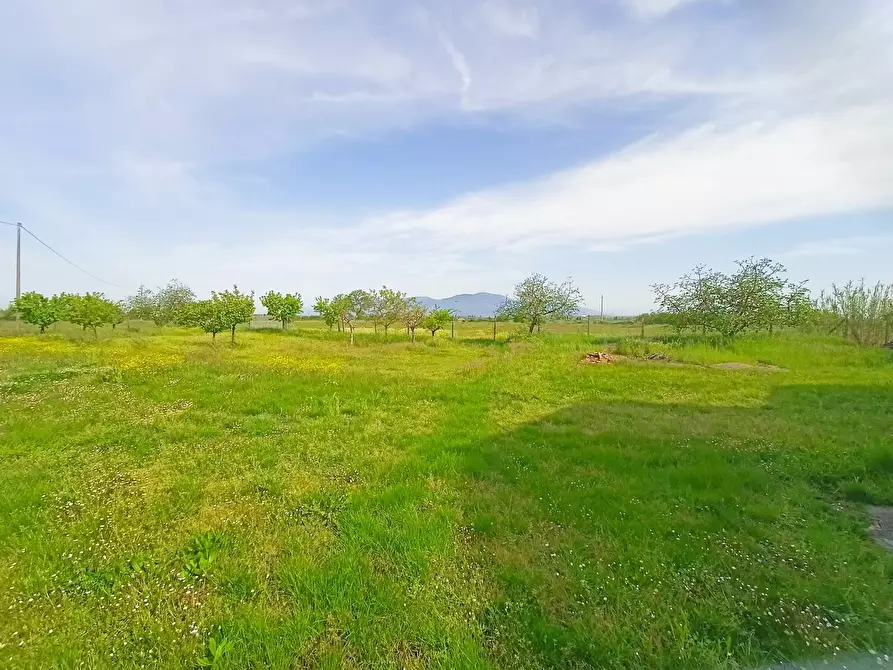 Immagine 33 di Rustico / casale in vendita  in via maremmana a Casciana Terme Lari