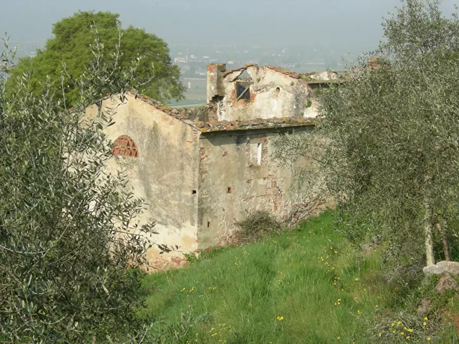 Immagine 5 di Rustico / casale in vendita  a San Giuliano Terme