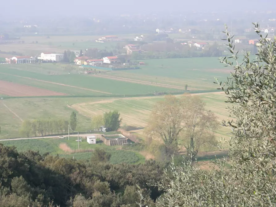 Immagine 7 di Rustico / casale in vendita  a San Giuliano Terme