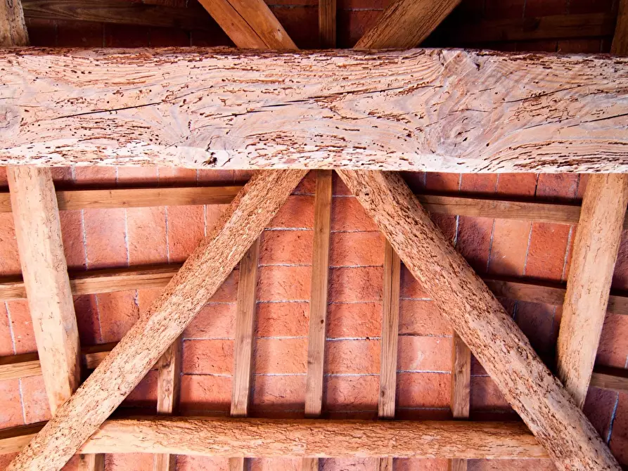 Immagine 6 di Appartamento in vendita  in san lorenzo a Palaia