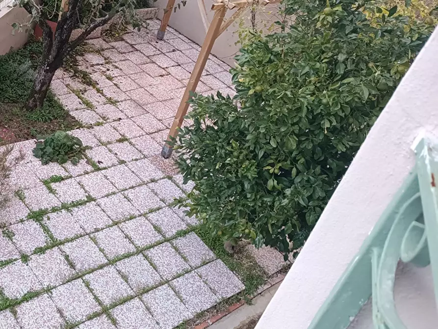 Immagine 40 di Casa indipendente in vendita  in piazza sandro pertini a Lajatico