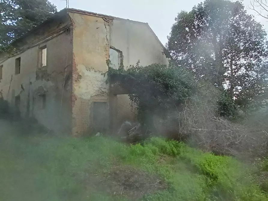 Immagine 4 di Rustico / casale in vendita  in via bugallo a Crespina Lorenzana