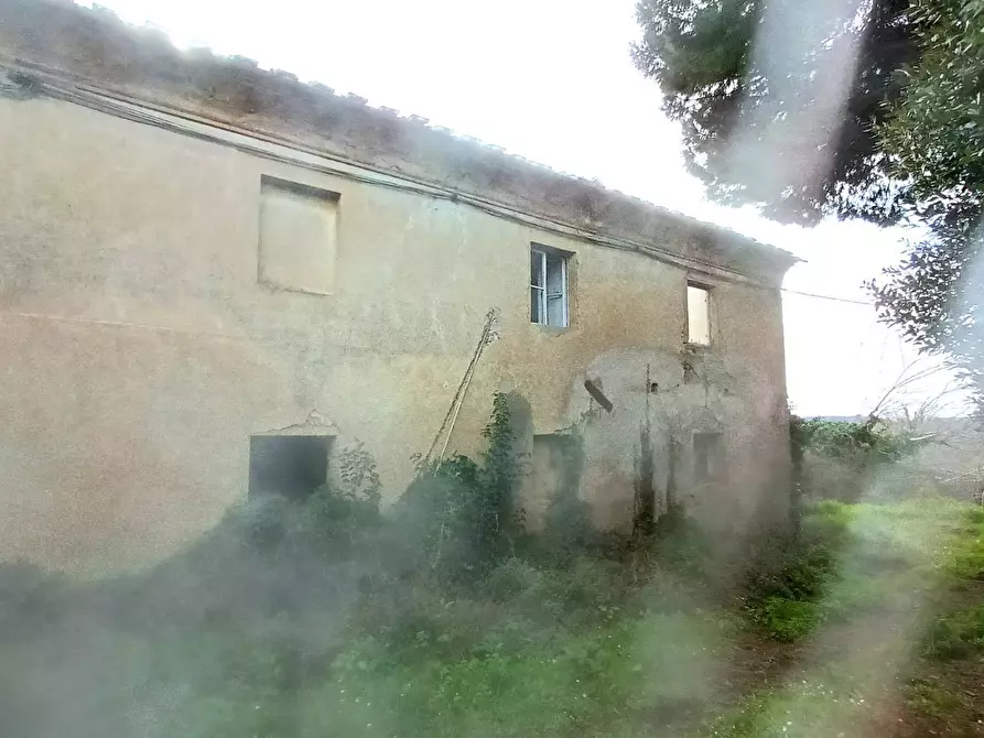 Immagine 6 di Rustico / casale in vendita  in via bugallo a Crespina Lorenzana
