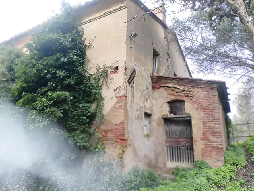 Immagine 7 di Rustico / casale in vendita  in via bugallo a Crespina Lorenzana
