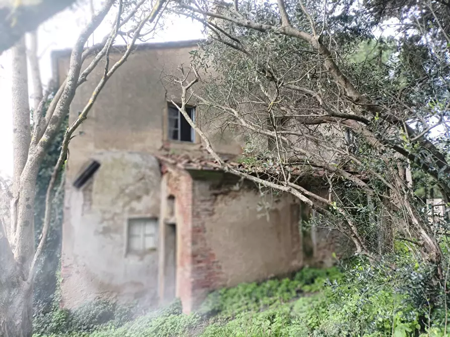 Immagine 8 di Rustico / casale in vendita  in via bugallo a Crespina Lorenzana