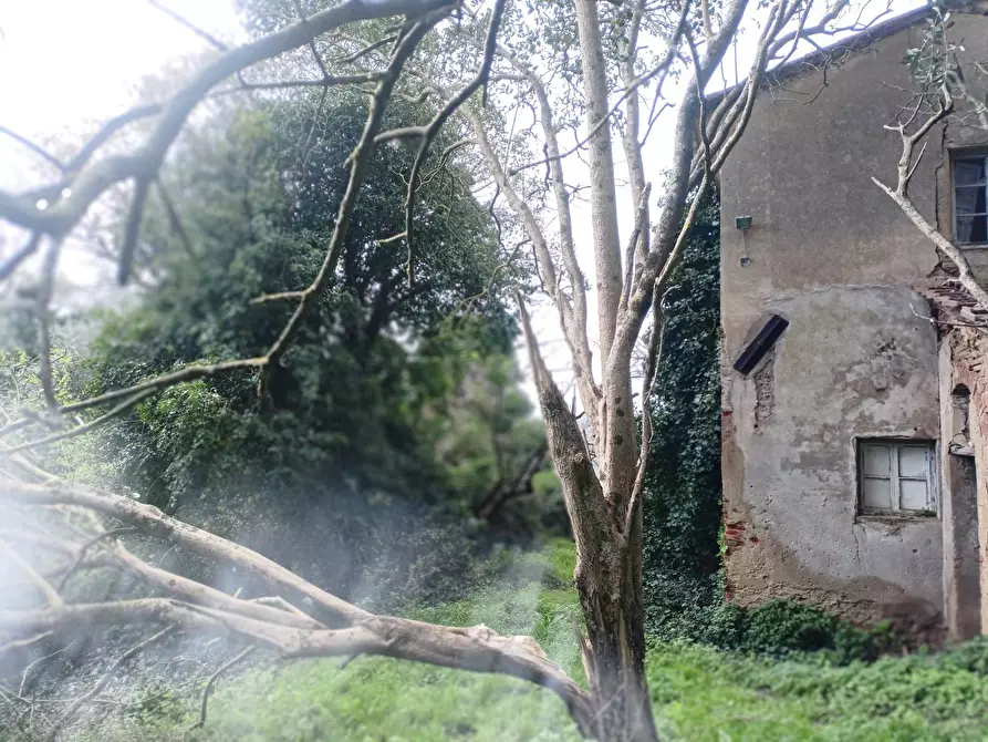 Immagine 9 di Rustico / casale in vendita  in via bugallo a Crespina Lorenzana