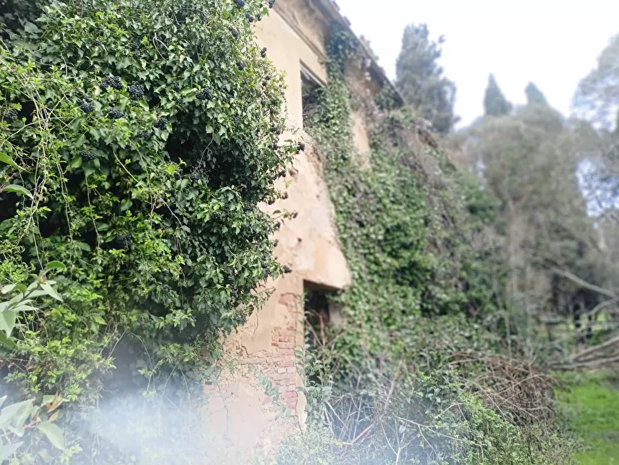 Immagine 10 di Rustico / casale in vendita  in via bugallo a Crespina Lorenzana