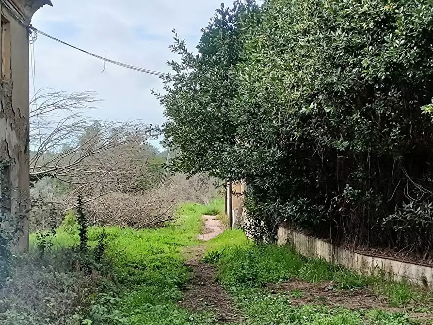 Immagine 11 di Rustico / casale in vendita  in via bugallo a Crespina Lorenzana