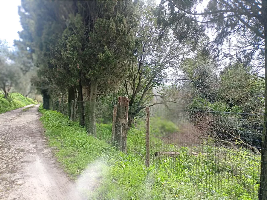 Immagine 12 di Rustico / casale in vendita  in via bugallo a Crespina Lorenzana